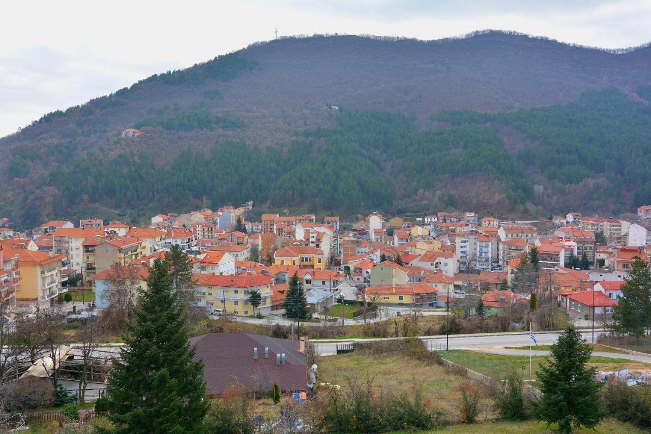 King Alexander Hotel Florina Buitenkant foto