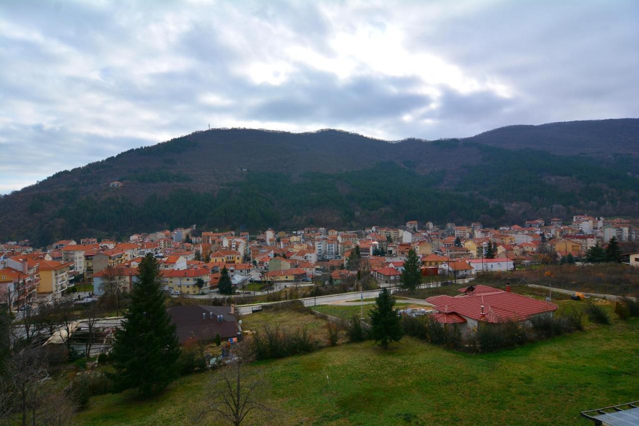 King Alexander Hotel Florina Buitenkant foto