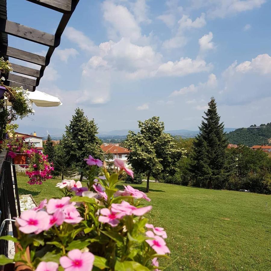 King Alexander Hotel Florina Buitenkant foto